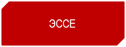 Эссе